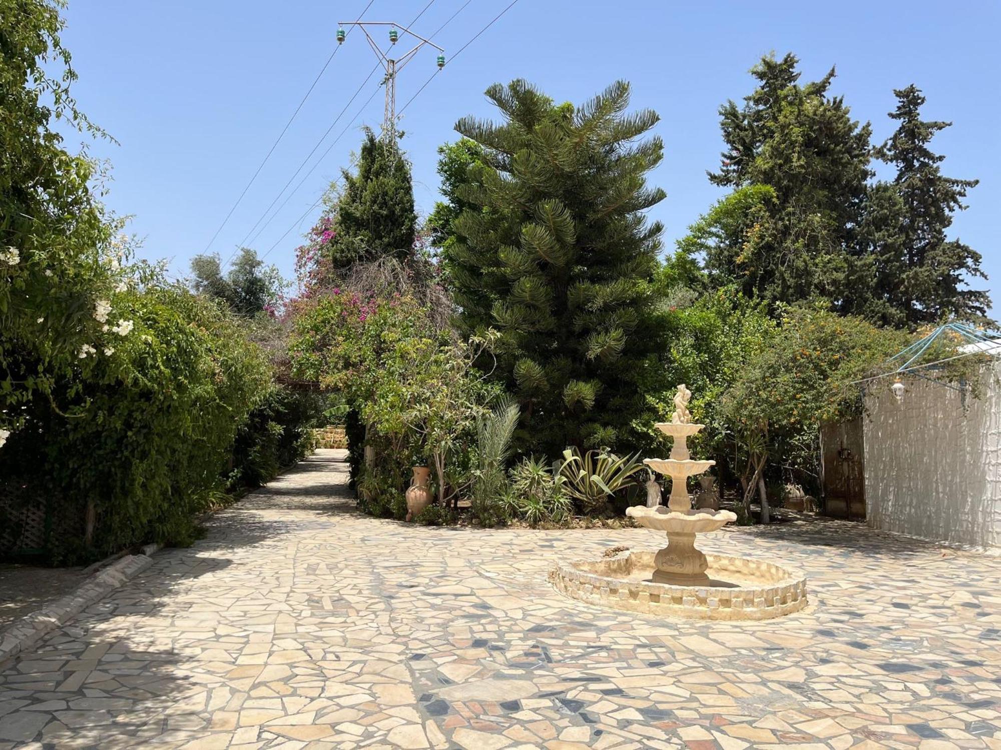 Dar Beldi Hotel Al-Hammamat Bagian luar foto